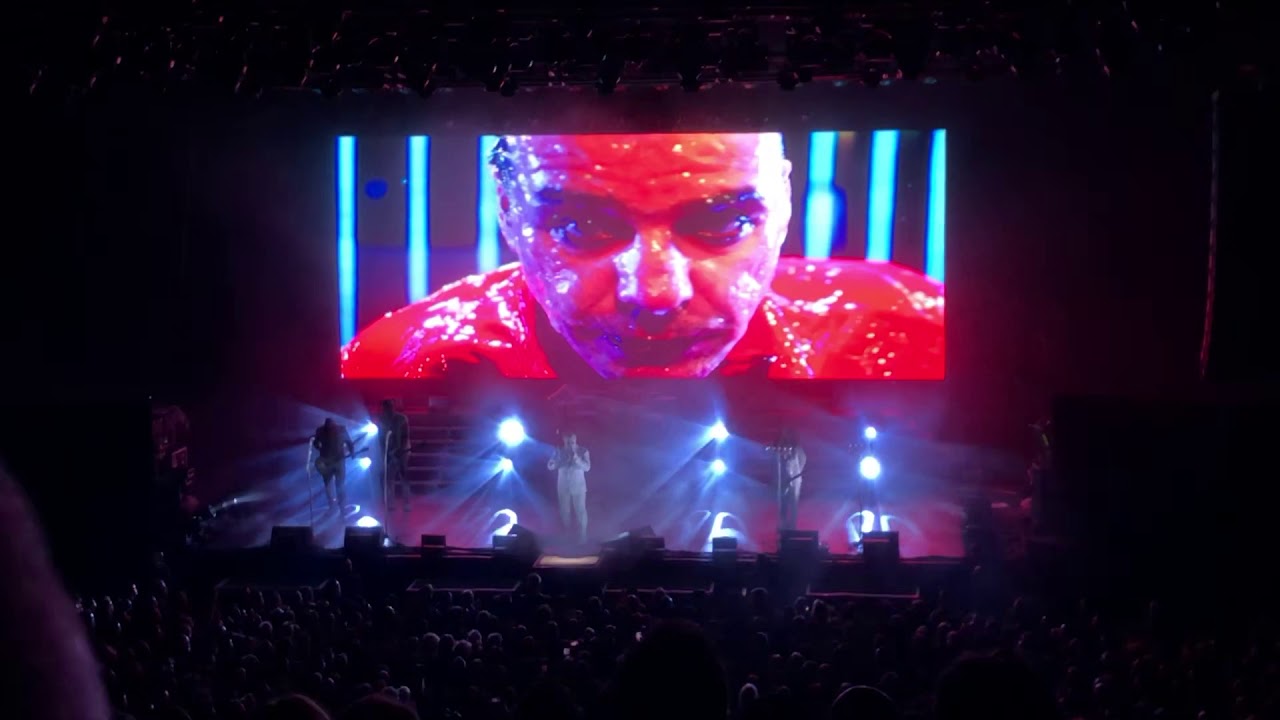 Lindemann Zürich Fat