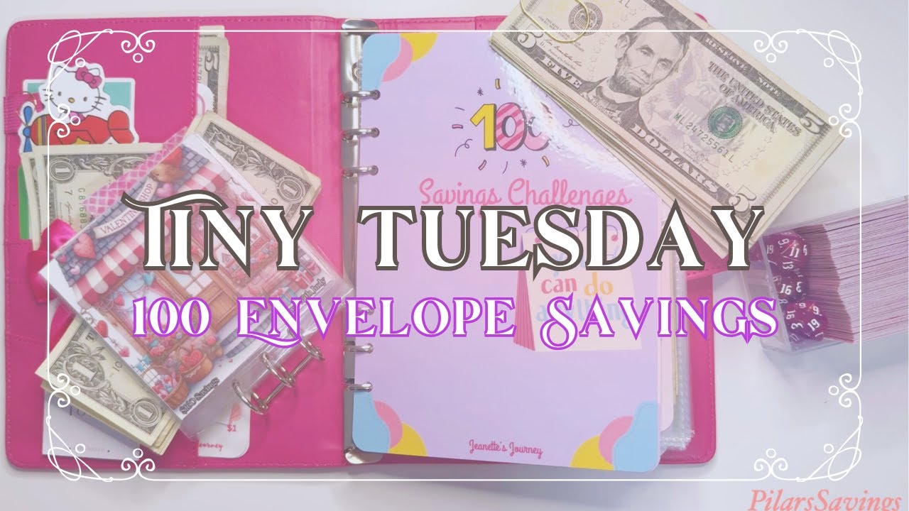 Cash Stuffing | Tiny Tuesday | 100 Envelope