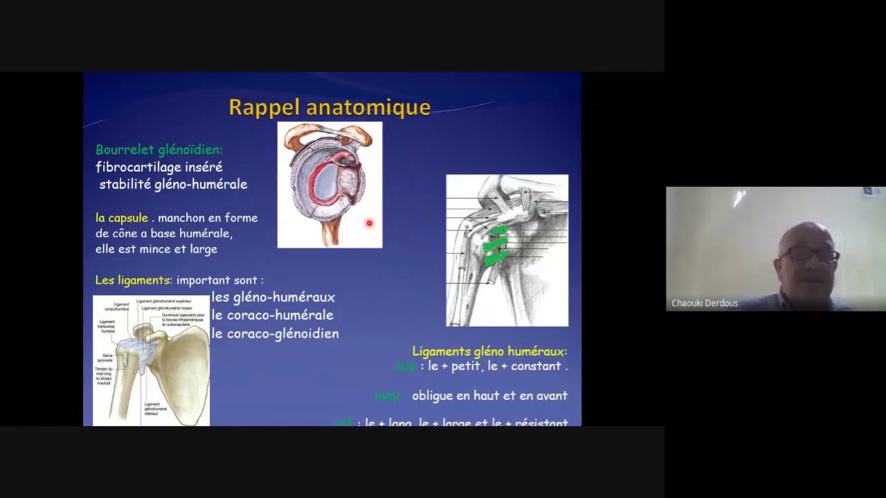 Les luxations traumatiques de l'épaule ( traumatologie - OTR )