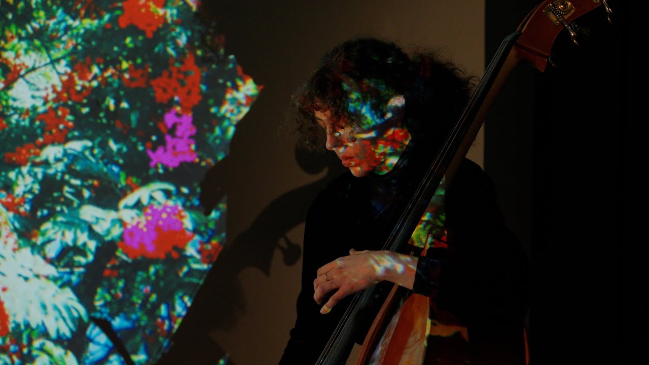 Snowgrass (Live) - Helen Svoboda
