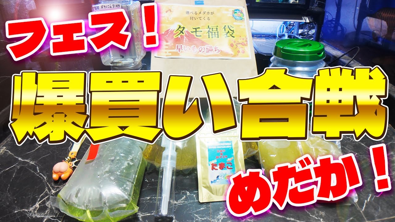 【めだかフェス】さくらモール初売り合戦の戦利品！購入したのを一挙公開！