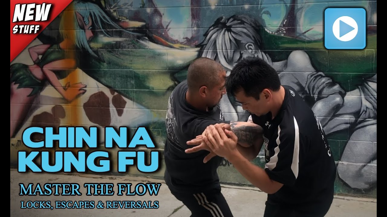 Chin Na Kung Fu - Flow Drills - Lock & Counter Techniques - Jing Shen Kuoshu
