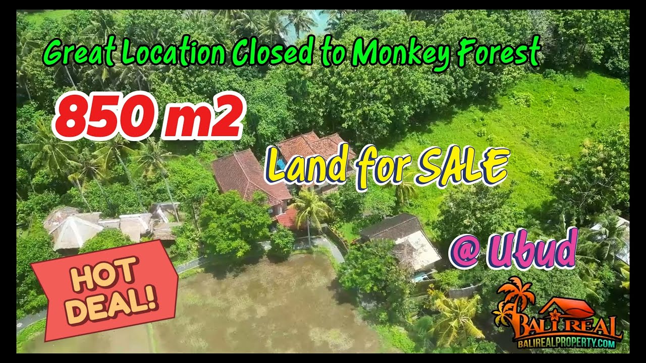 RARE ! Tanah dijual Murah di Nyuh Kuning Dekat Monkey Forest Sentral Ubud Bali Land Sale TJUB904