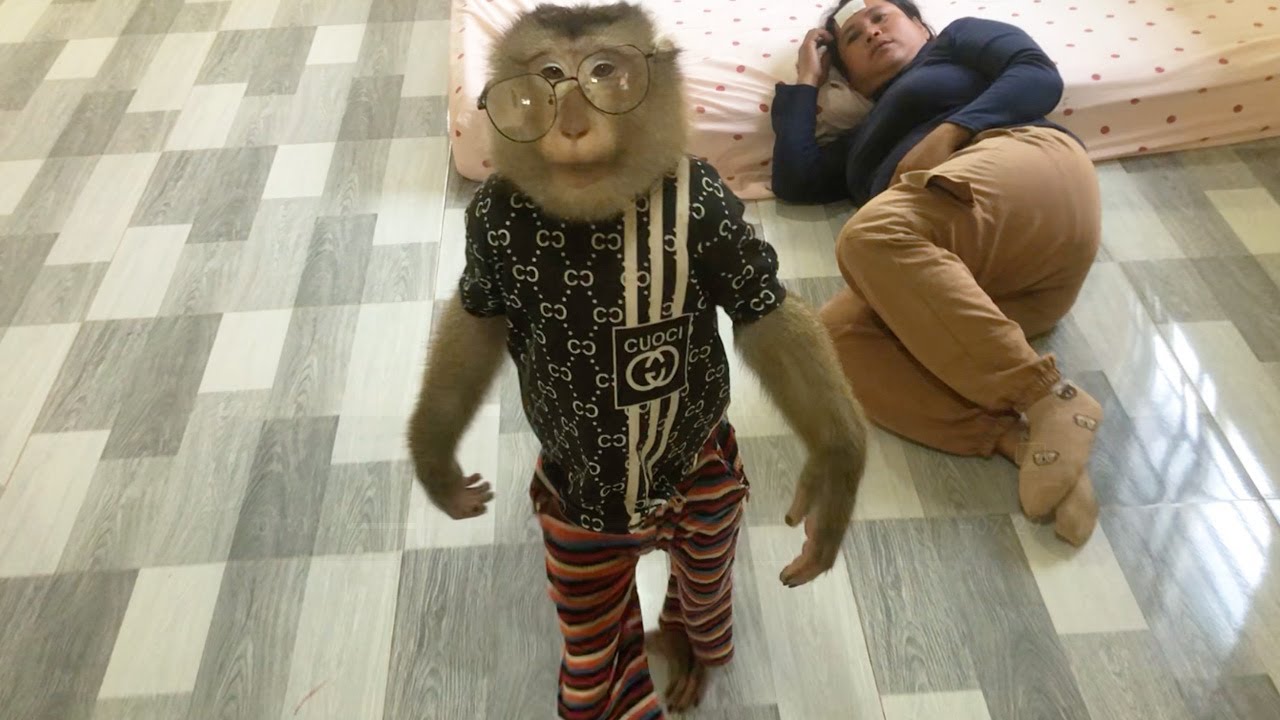 Handsome Jason Shy Wear Glasses Deny Listen Mom Call Him Old Man