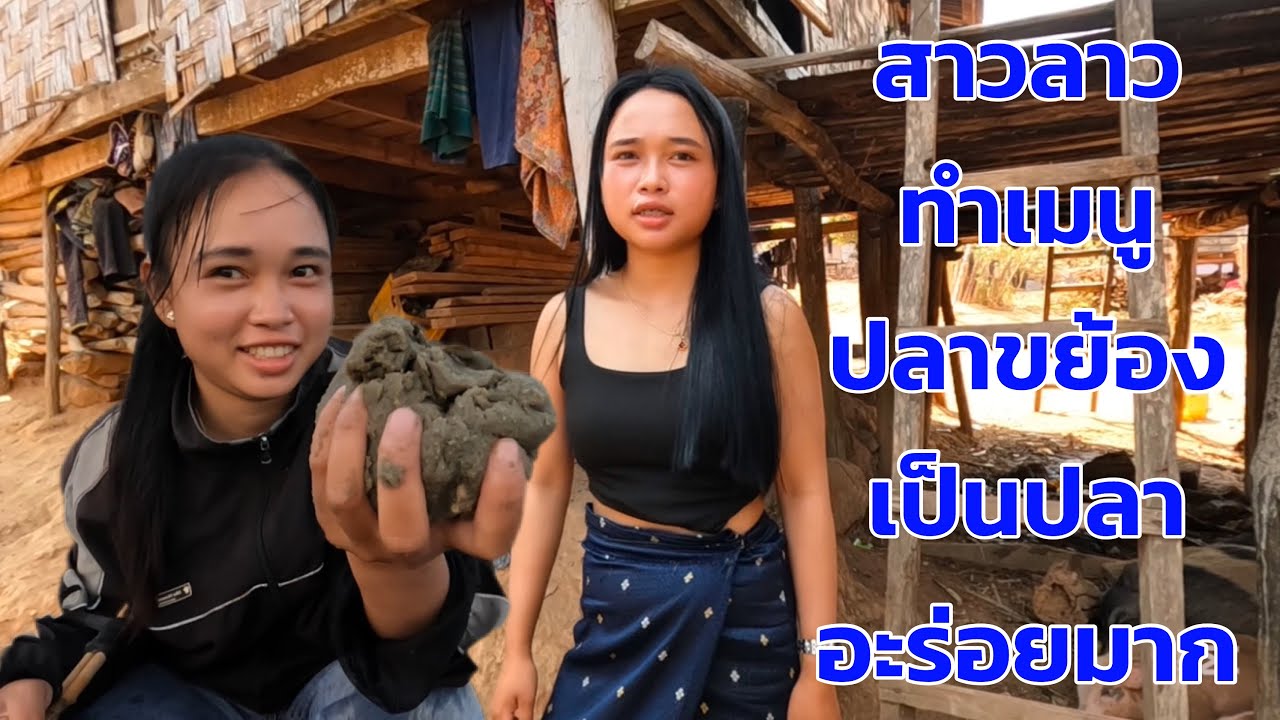 สาวลาวทำเมนูปลาขย้อง เป็นปลาแปลกที่สุดอยู่น้ำจะอะร่อยหรื่อไหม