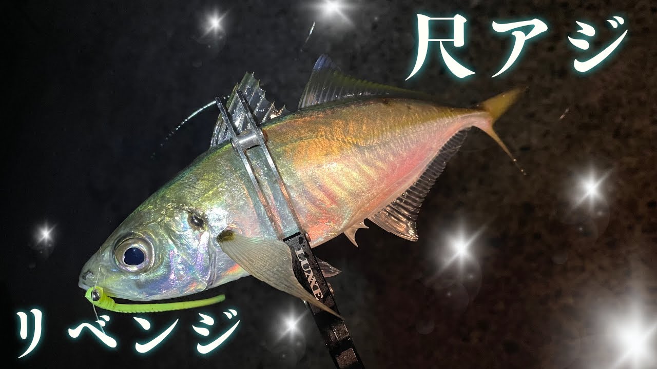 【アジング】淡路島で尺アジリベンジや！！