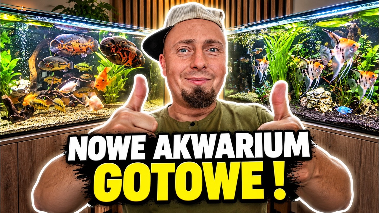 NOWE AKWARIUM i NOWE RYBY 🐠 + ogrodzenie dla alpak !