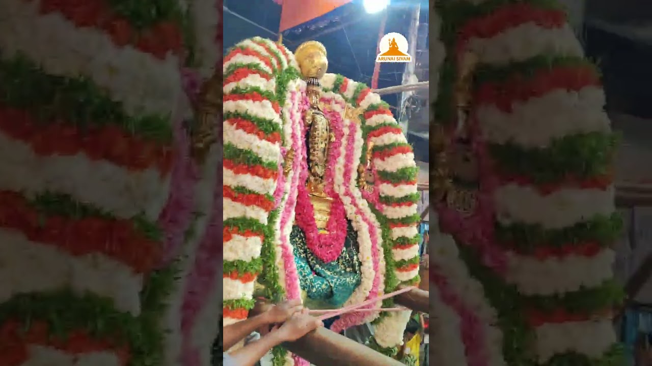Saidapet Senguntakottam Sri Siva Subramanyaswamy Brahmotsavam 2026 Day 10 oyyali #murugan #festival 