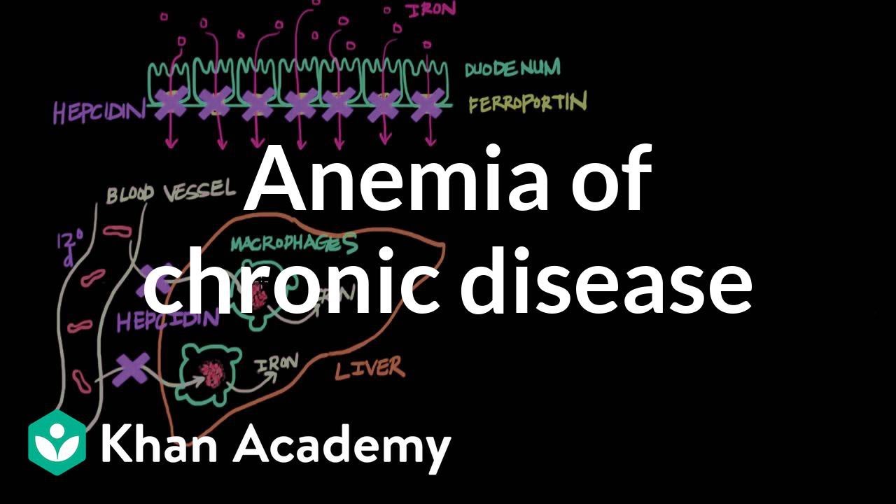 Anemia of chronic disease | Hematologic System Diseases | NCLEX-RN | Khan Academy
