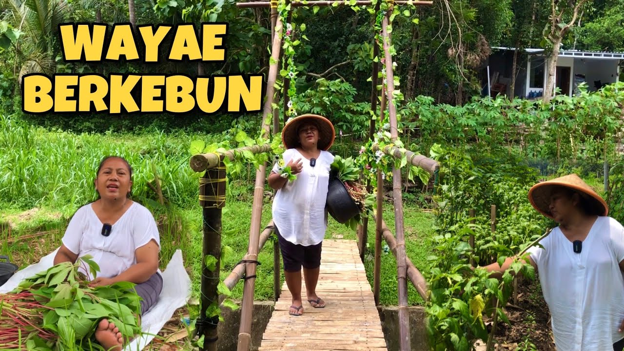 BERKEBUN DI DESA SAYUR MELIMPAH || KEBUN BANUNG