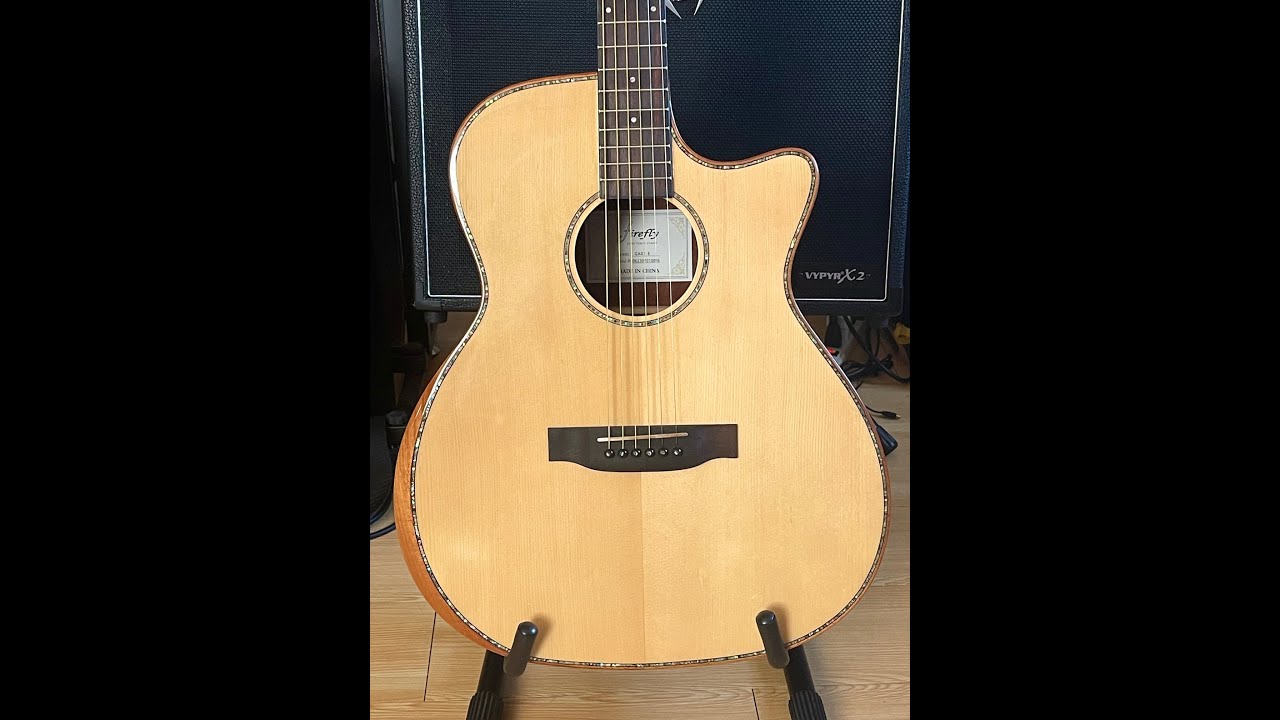 Firefly Acoustic Guitar Review. GA01-E