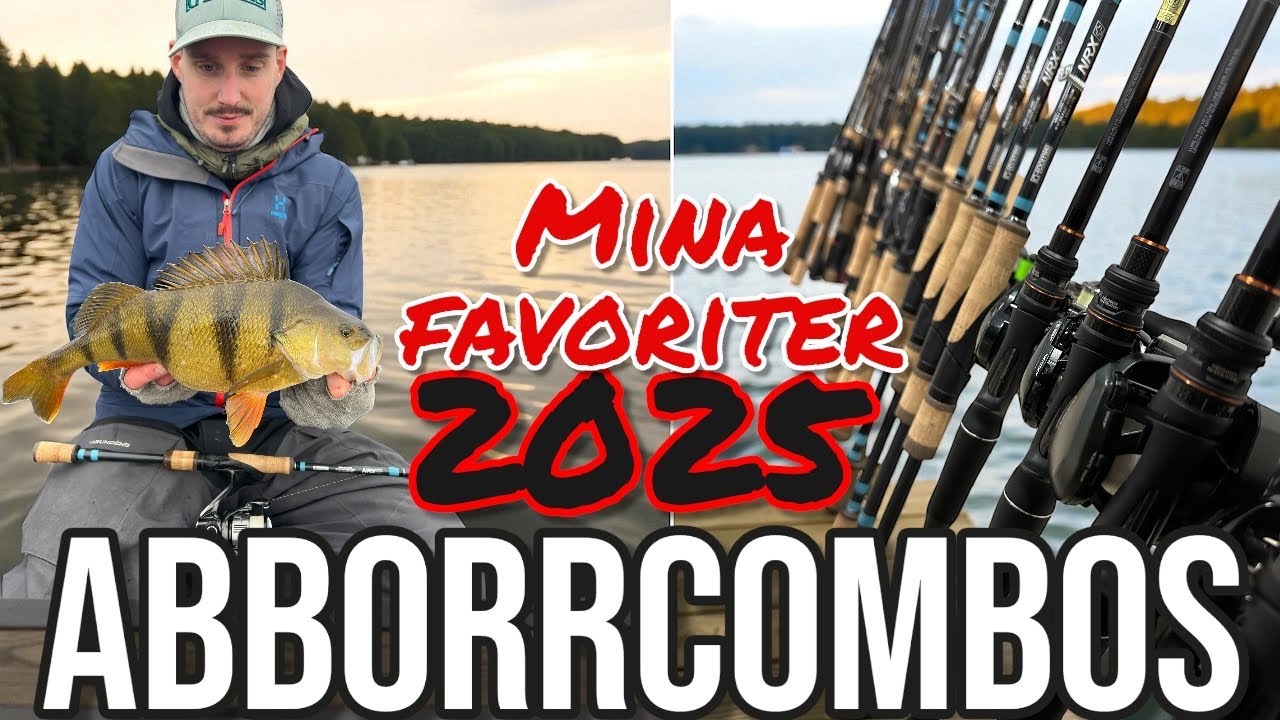 BÄSTA COMBOS till ABBORRE 2025 - Mina FAVORITER