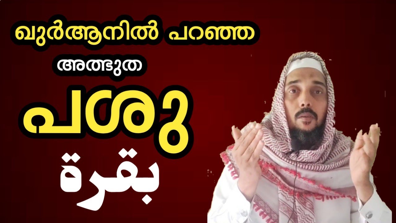 ഖുർആനിലെ അത്ഭുത പശു