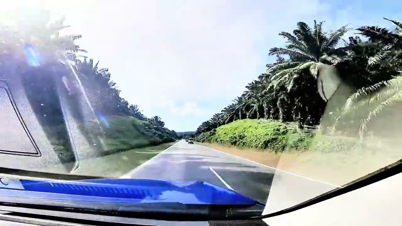 Bermalam di hutan lagi bersama kelurga👍👍🫡🫡