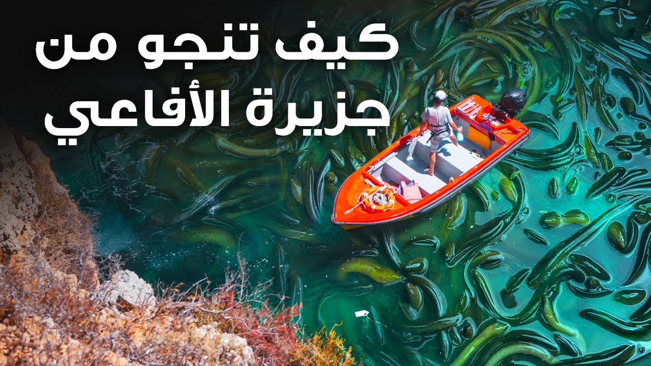 مرحباً بكم في جزيرة الأفاعي الخطيرة