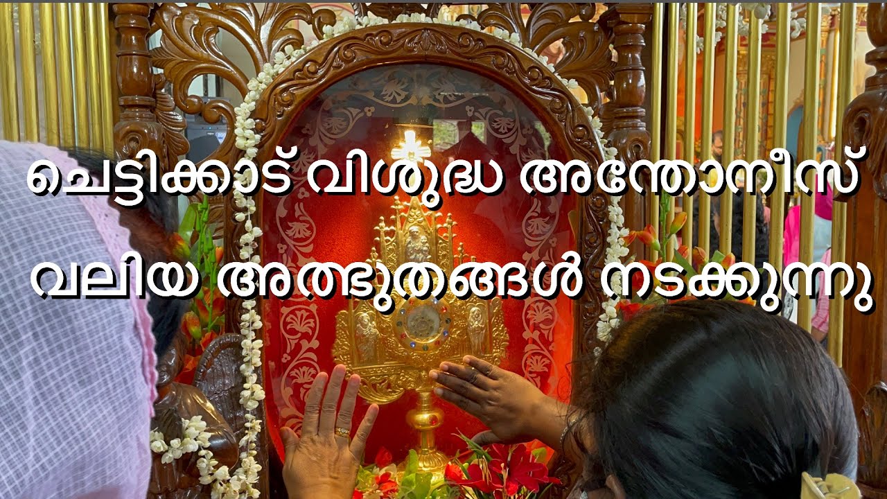 വിശുദ്ധ അന്തോനീസ് പുണ്യവാളന്റെ അഴുകാത്ത നാവ് ദർശിക്കാനാവും ഈ ദേവാലയത്തിൽ വന്നാൽ.
