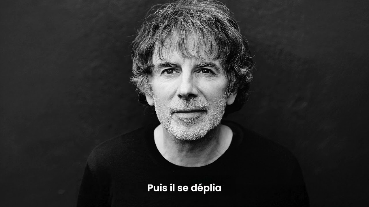 Thomas Fersen - La chauve-souris (lyrics video)