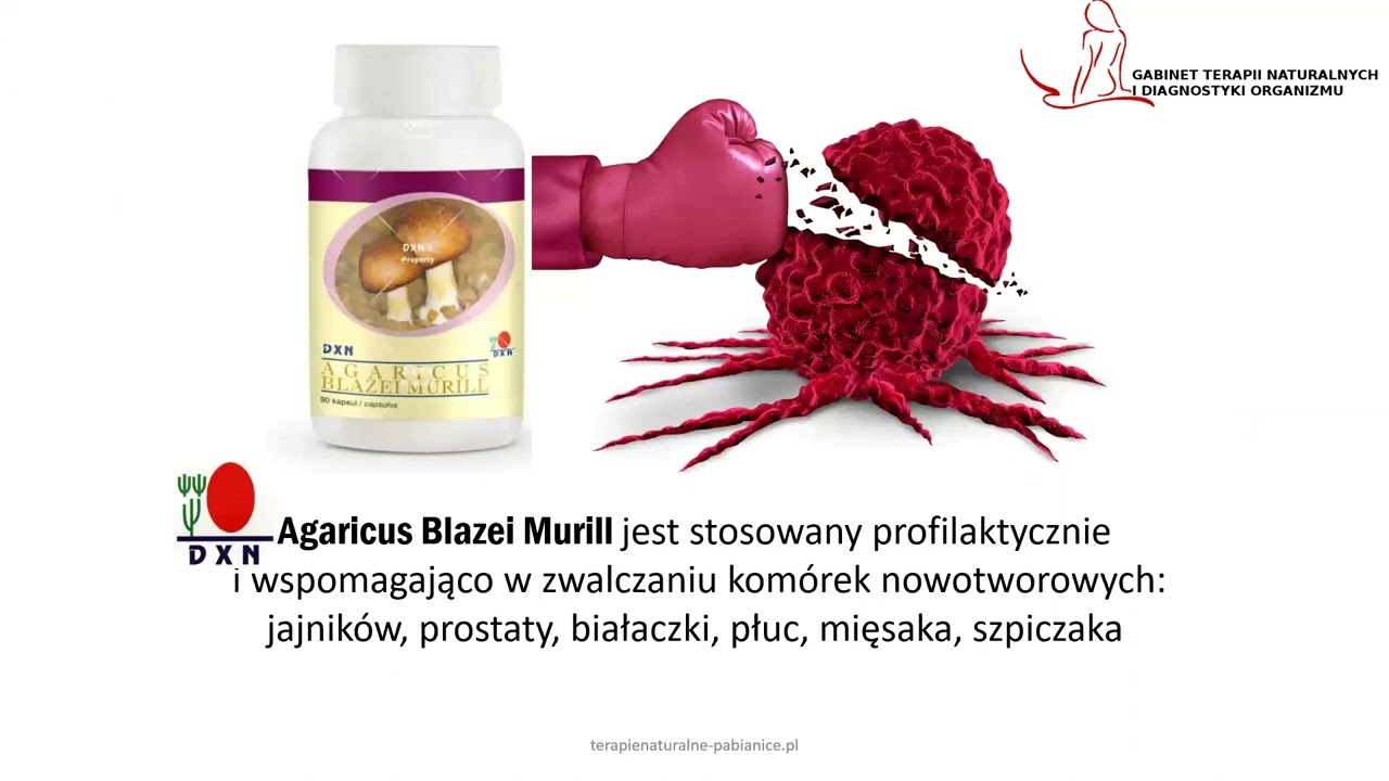 DXN Agaricus Blazei Murill - pieczarka brazylijska