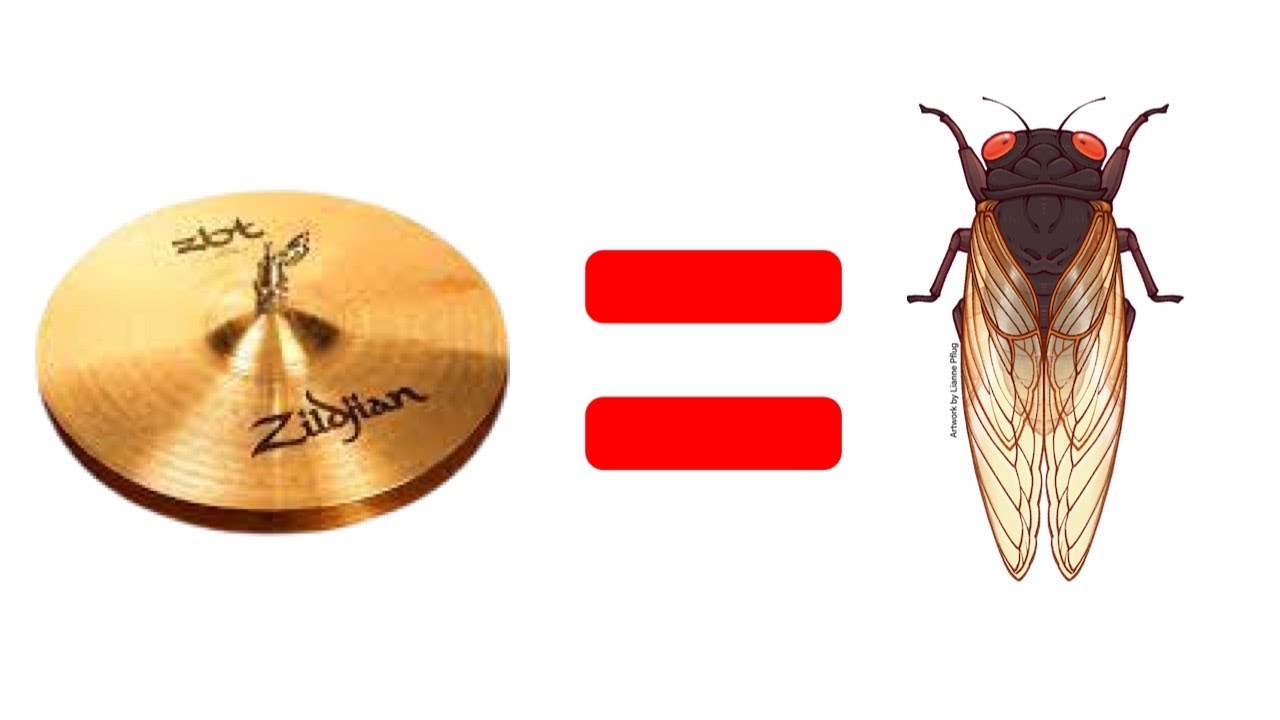 The Cicada Hi Hat of Pop Music