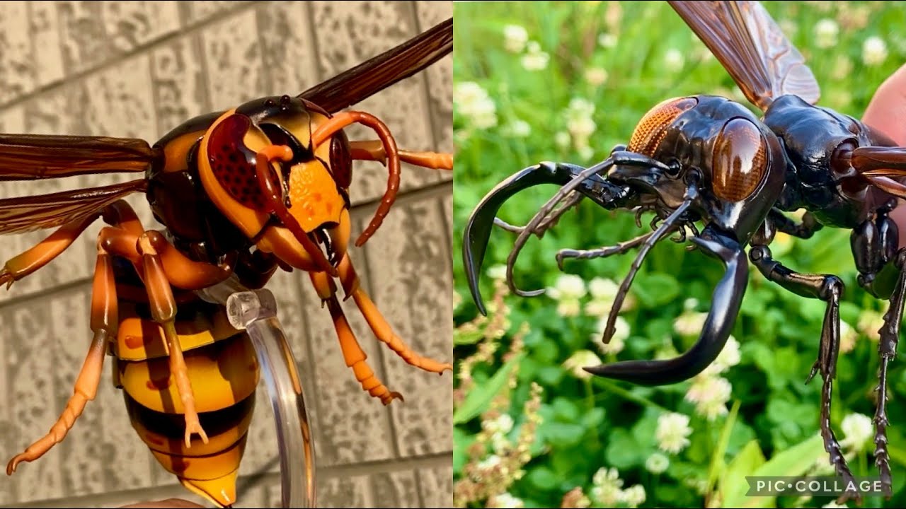 【Gashapon in Japan】Megalara Garuda and Yellow hornet
