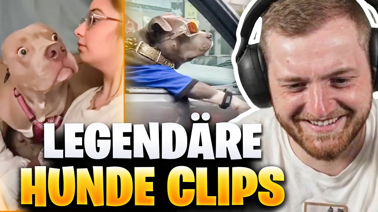 😍😂Die BESTEN HUNDE CLIPS aus 10 JAHREN! - Viel zu STARK  | Trymacs Stream Highlights