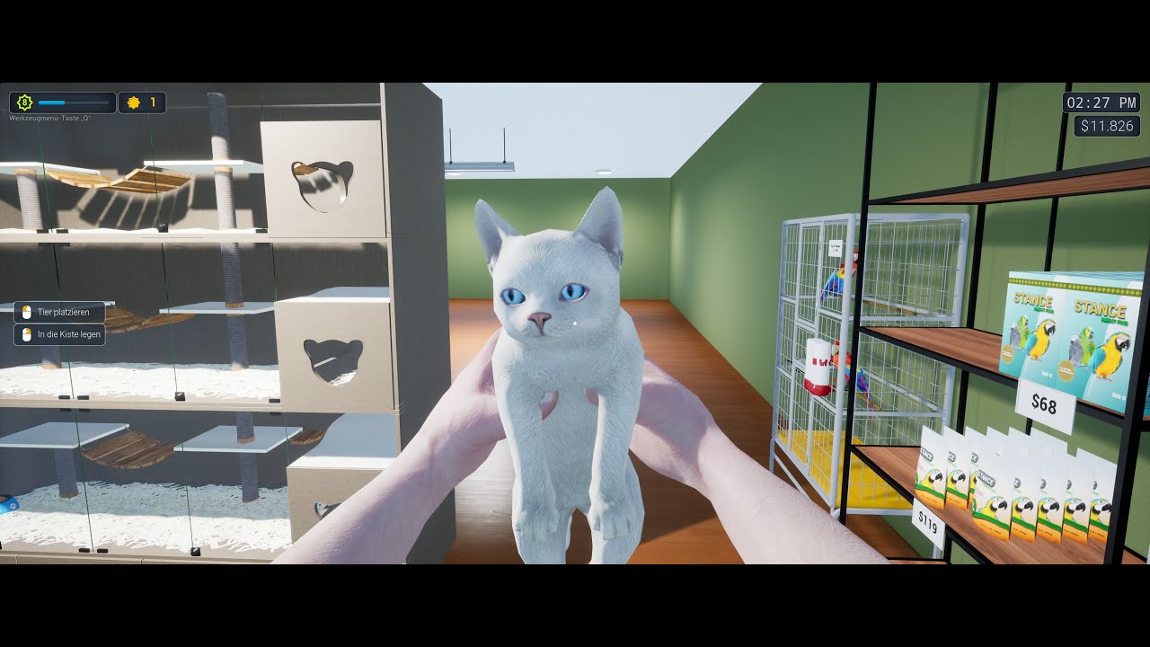 Exotica2 - Pet Shop Simulator 05 - Die ersten Kätzchen sind eingetroffen