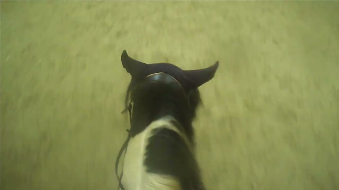 gopro filmpje met origineel geluid