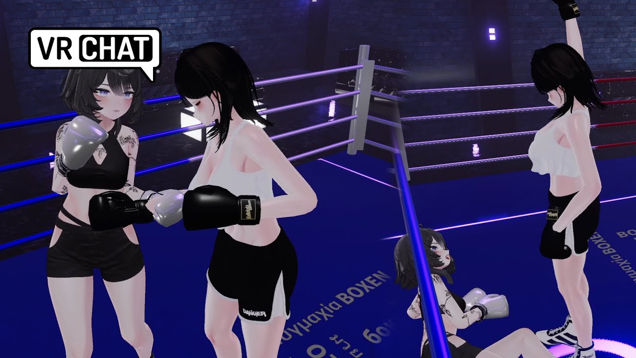 Giving out a royal beat down VRchat BOXING