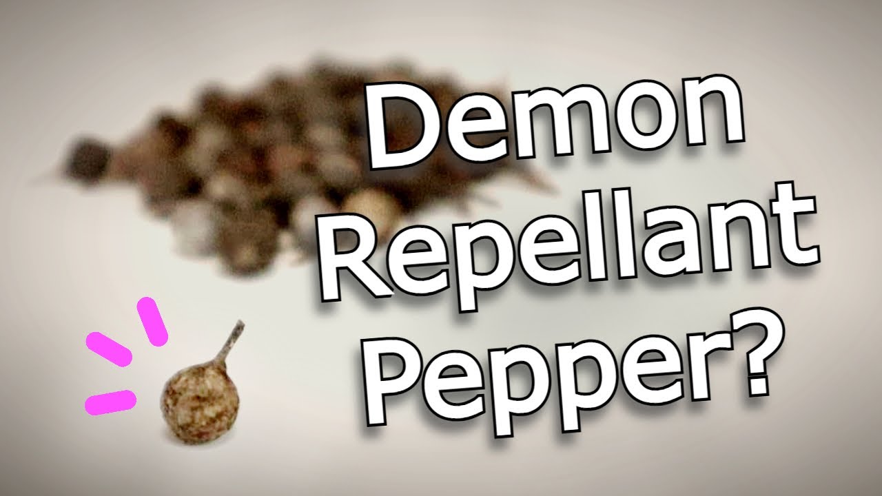 CUBEB PEPPER - The Strange History & Uses Of This Fascinating Spice - Spice Finds