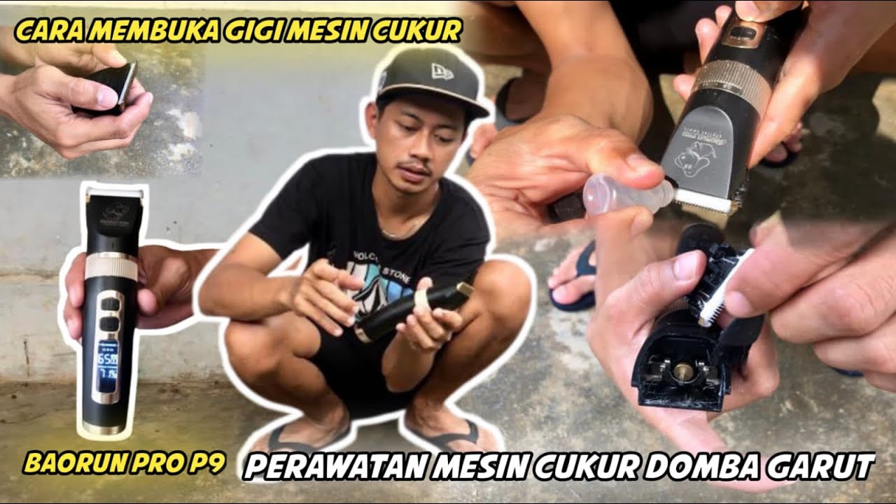 PERAWATAN MESIN CUKUR DOMBA GARUT || BAORUN PRO P9