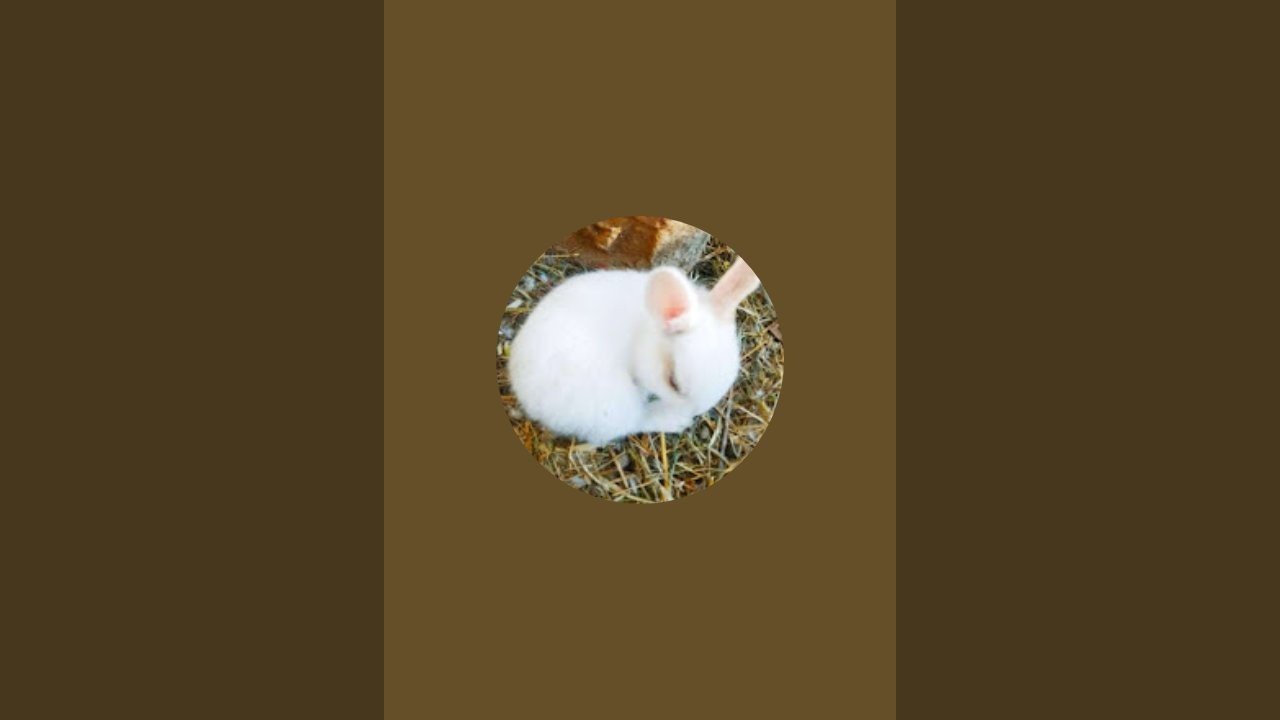 Karonpets & Nature is live!