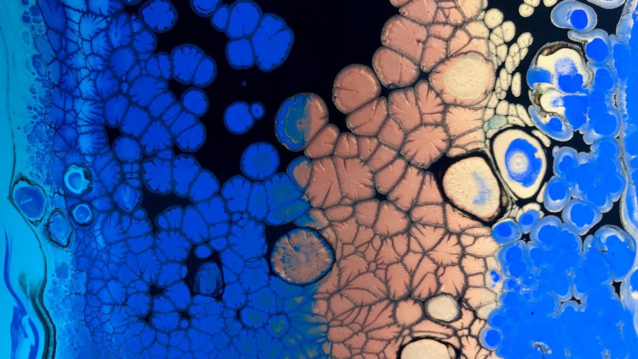 Acrylic Pour Painting: Black Swipe Technique With Colorful Cells