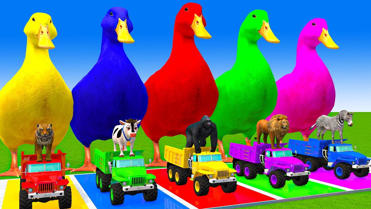 5 Giant Duck Cartoon,Cow,Mammoth,Dog,T-Rex,Lion,Tiger Paint Wild Animals Crossing Fountain Animation