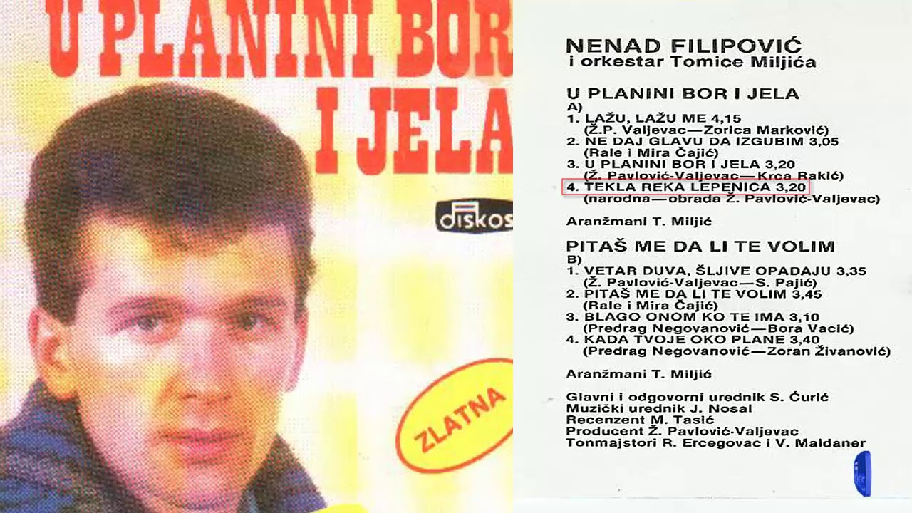 Nenad Filipovic - Tekla reka Lepenica - (Audio 1988)