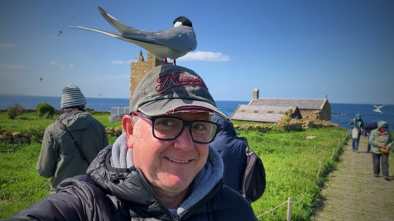 Landing boat trip to the Farne islands