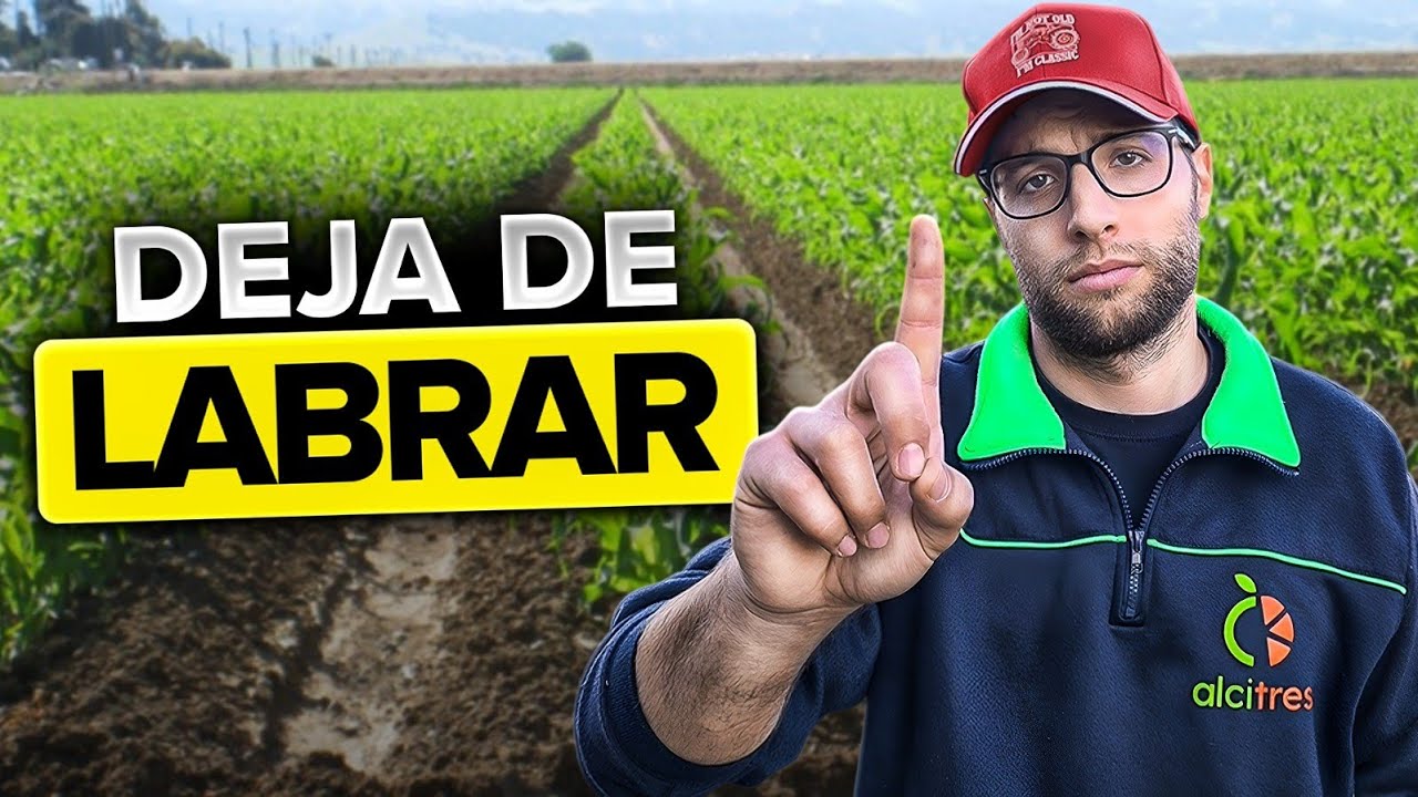 AGRICULTURA REGENERATIVA: Qué es y qué FUNCIONA de verdad 🌱
