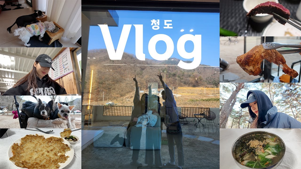 👩‍👧‍👦🐶 청도로 떠나요 🚙🍜🍖 불멍까지! 🤩