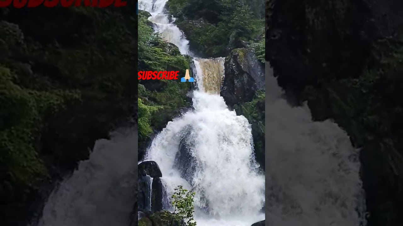 Visiting the TALLEST WATERFALL in Germany *Triberg Waterfalls*