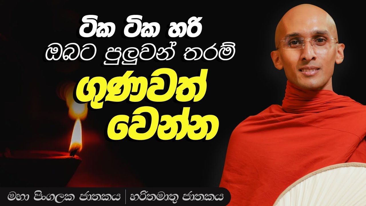 121. පුලුවන් තරම් ගුණවත් වෙන්න | මහා පිංගලක ජාතකය | හරිතමාතු ජාතකය |  2023-09-21