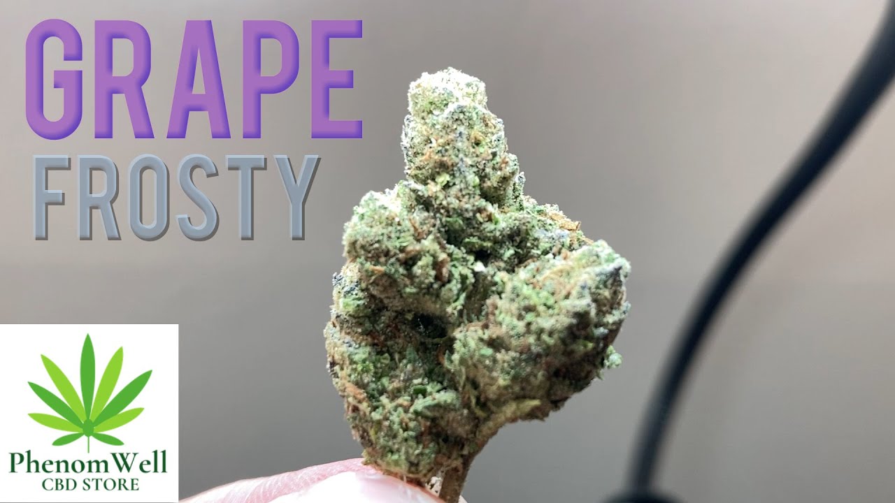 Grape Frosty THCa by Phenomwell CBD