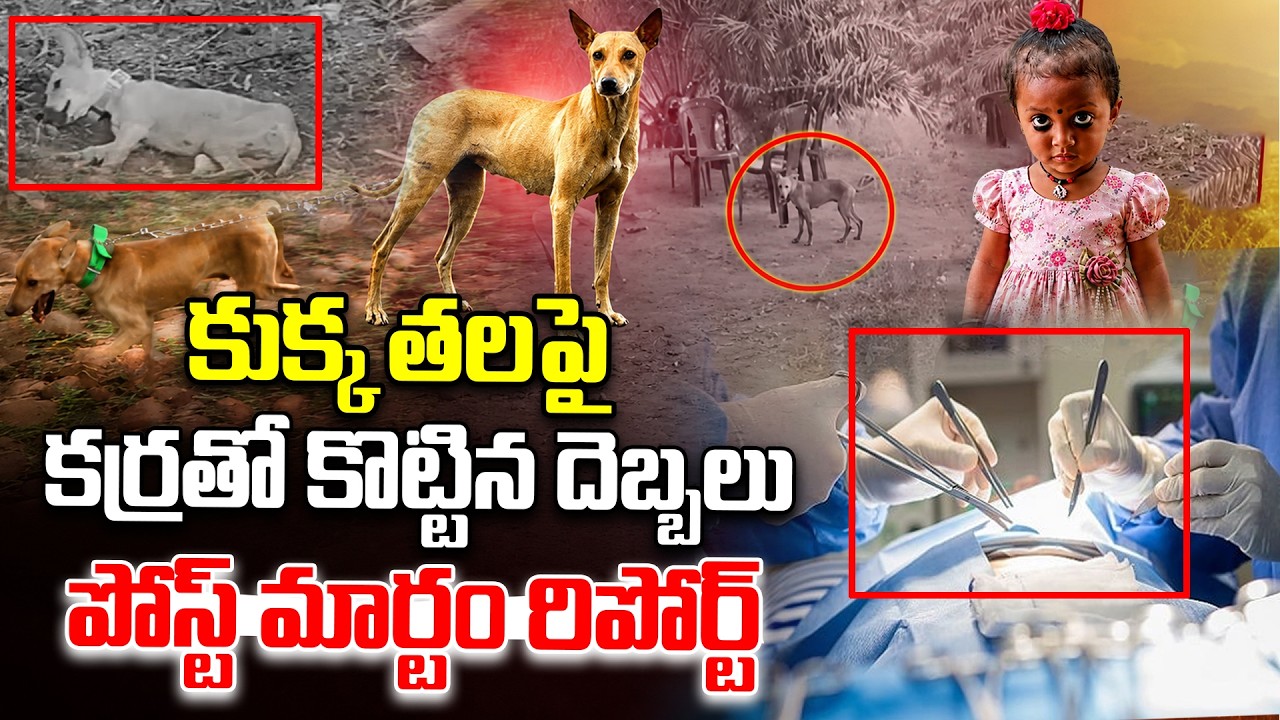 #LIVE | Jahnavi Missing Case Latest Updates | Kakinada Tuni Girl Incident | iDream