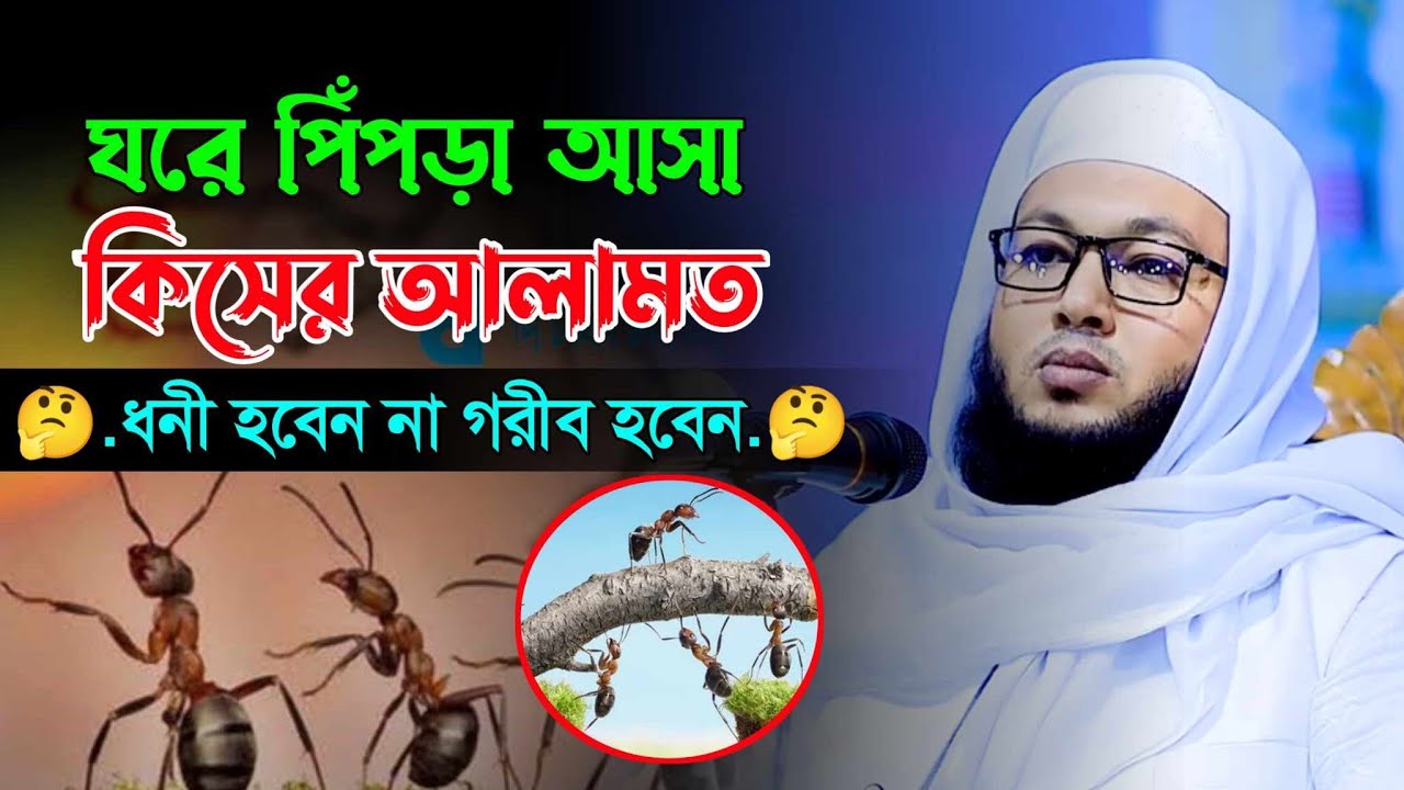 ঘরে পিঁপড়া আসা কিসের আলামত | Mufti Al-Amin waz mahfil