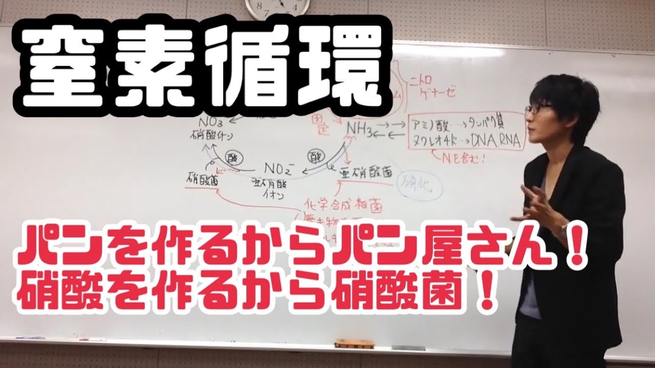 窒素循環　高校生物基礎