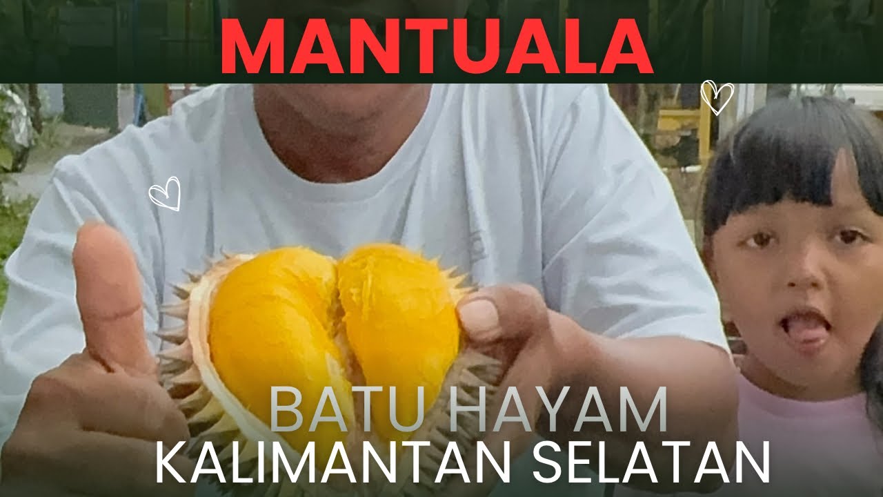 MANTUALA BATU HAYAM MUTIARANYA DURIAN INDONESIA