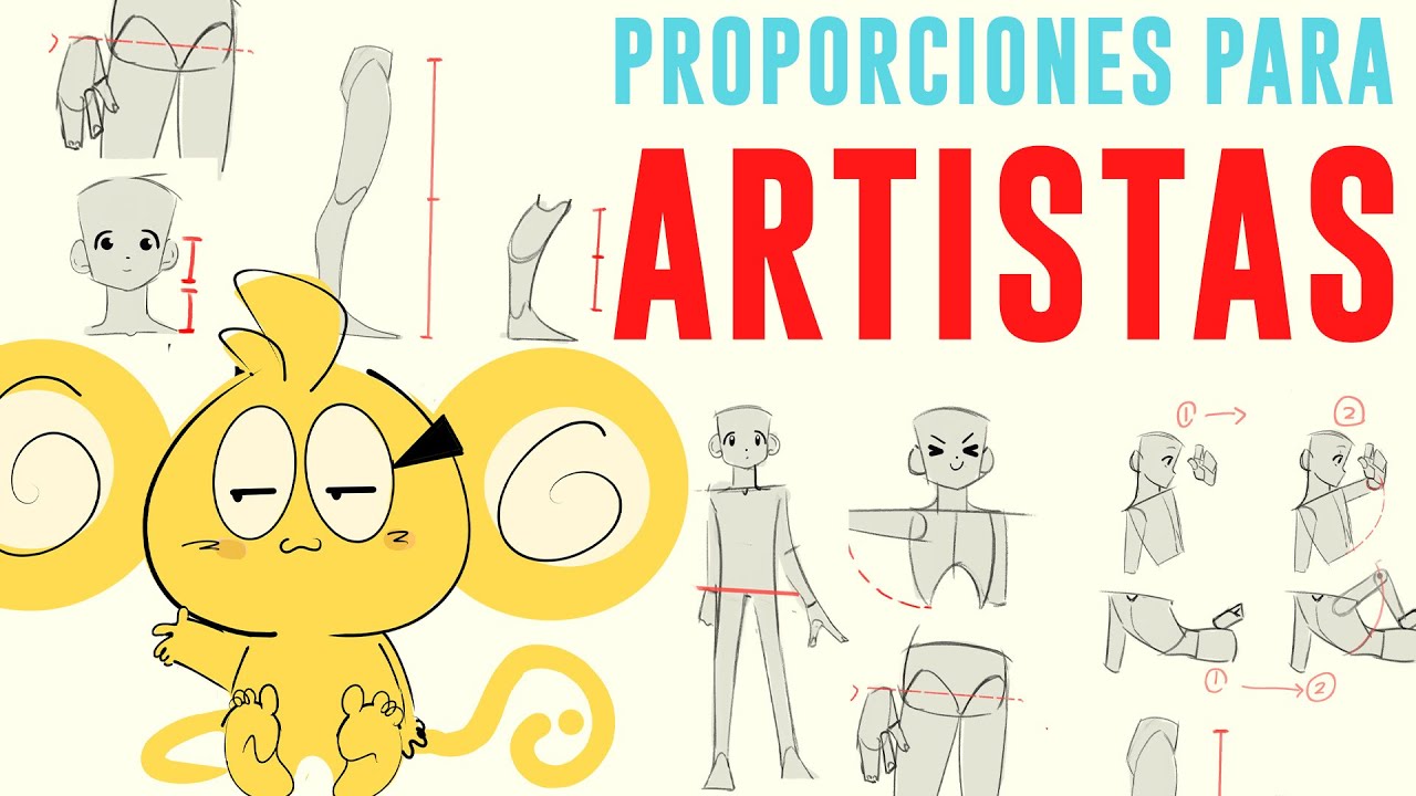 Proporciones Del Cuerpo Para Principiantes I C&oacute;mo Mejorar Anatom&iacute;a