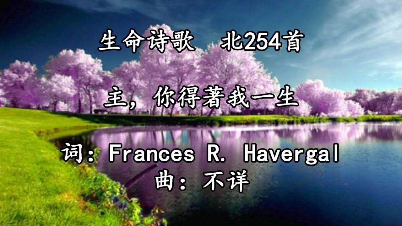 北254 主，你得著我一生