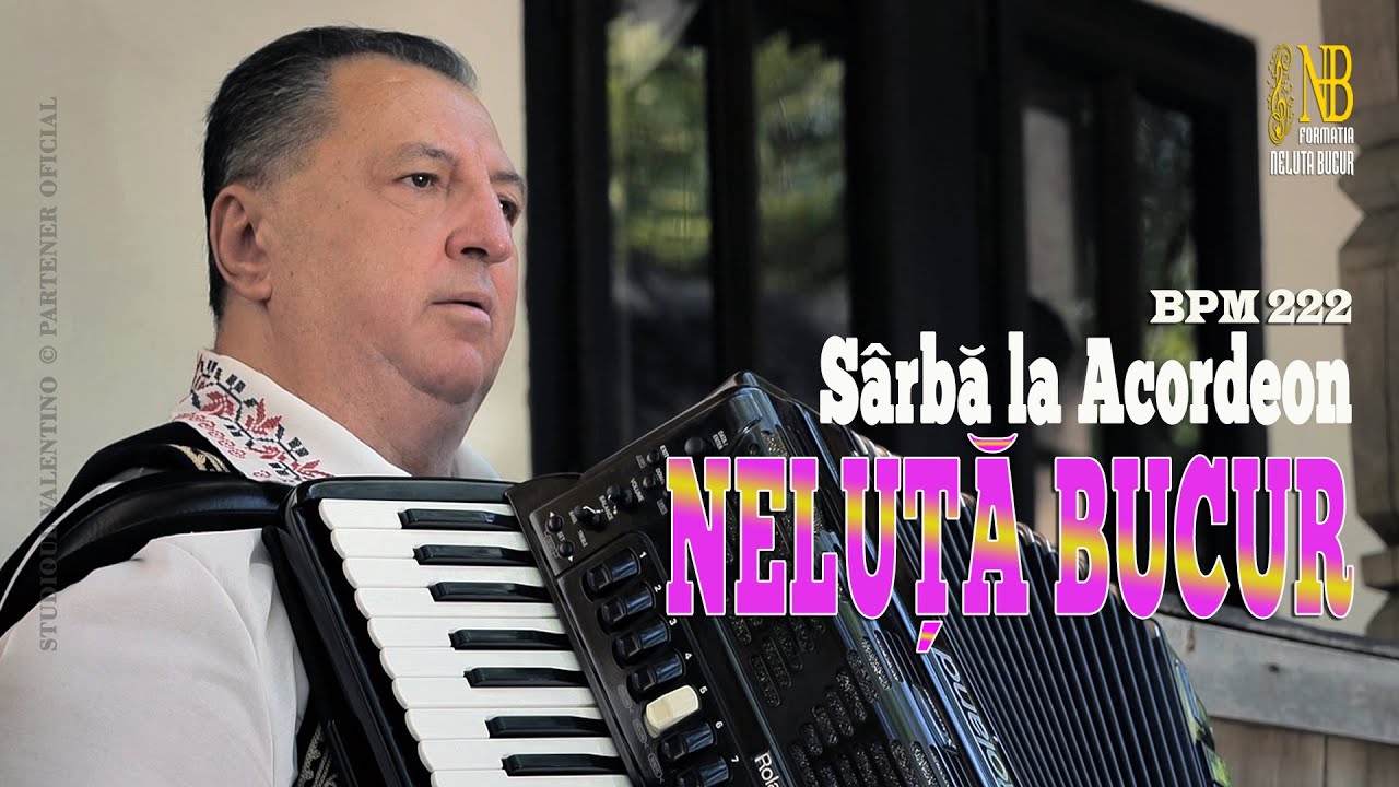 NELUTA BUCUR . Sarba la acordeon [2] (oficial video)