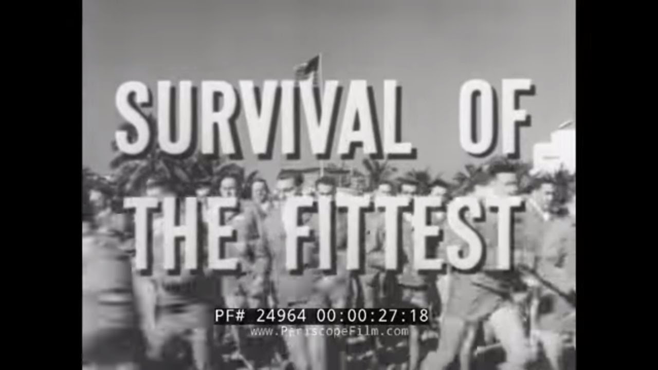 WWII U.S. ARMY AIR FORCES RECRUITING FILMS    BASIC TRAINING & OFFICER'S CANDIDATE SCHOOL OCS 24964