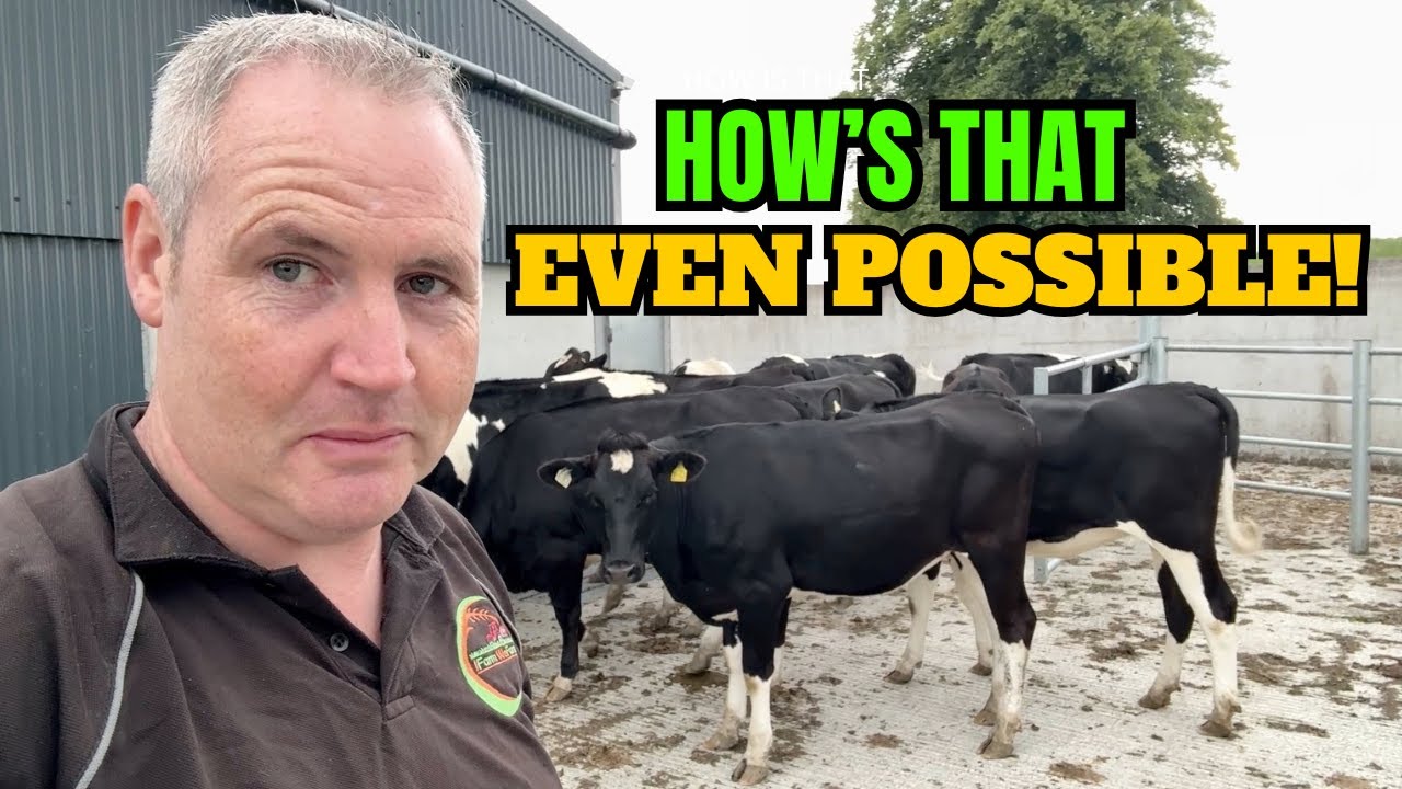 A Saturday Night EMERGENCY || Two Useful Solutions & A Stripped Silage Pit