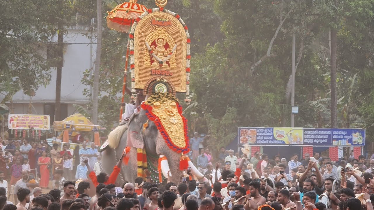 Ayyamkulangara Pooram 2026. അയ്യംകുളങ്ങര പൂരം 2026. #elephant #keralaelephant #pooram #puthussery 